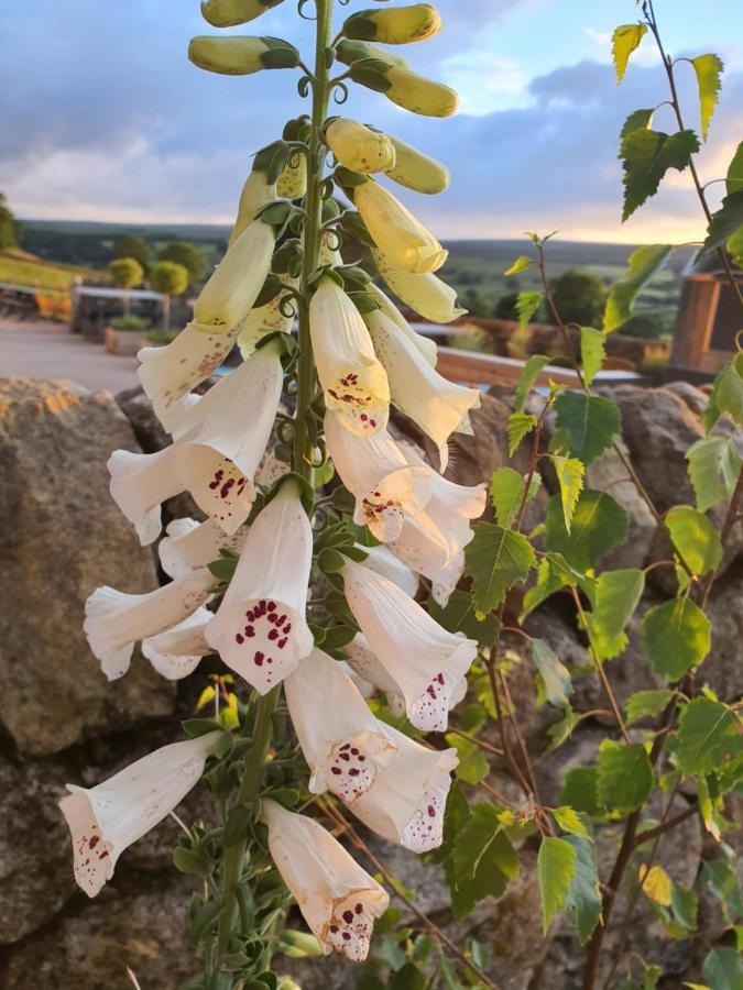 Howgill Farm Bolton Abbey Appletreewick Exteriér fotografie